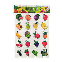 Розвиваючі Магніти для дітей