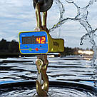 Кранові ваги Tenzomir (Vagar) D2-5000, фото 9