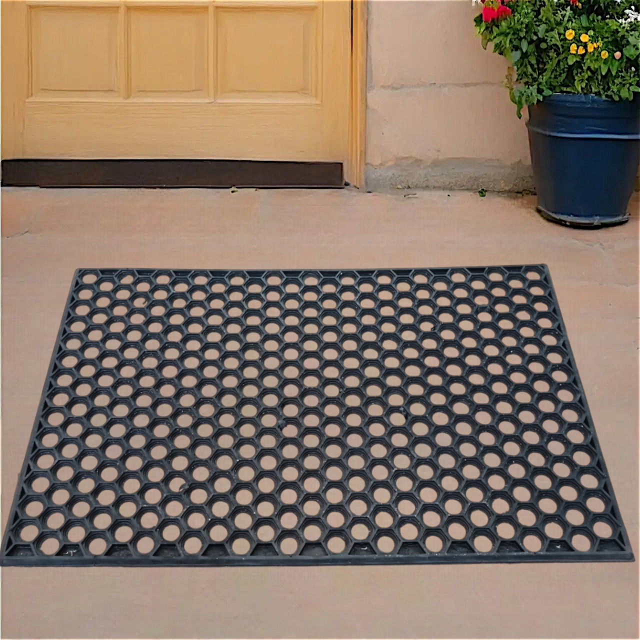 Килим придверний брудозахисний Сота 50х75 см, фото 1