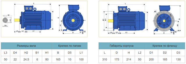 Чертеж и размеры электродвигателя АИР80B6