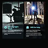 Philips LED ліхтарик з енергоефективним підсвічуванням, фото 7