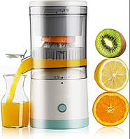 Соковичавниці