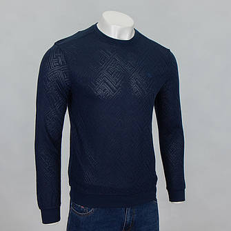 Реглан чоловічий Caporicco