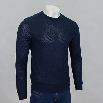 Реглан чоловічий Caporicco 9390 LACI 65% бавовна 20% віскоза 10% акрил 5% еластан M(Р)