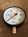 МП4-У2 Манометр загальнотехнічний 1000 кгс/см2 (100МПа) Ф160 мм М20*1,5 радіальний (UAM Україна), фото 2