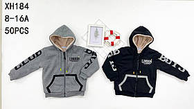 Пайта утеплена для хлопчиків оптом, Taurus, 8-16 рр., арт. XH-184