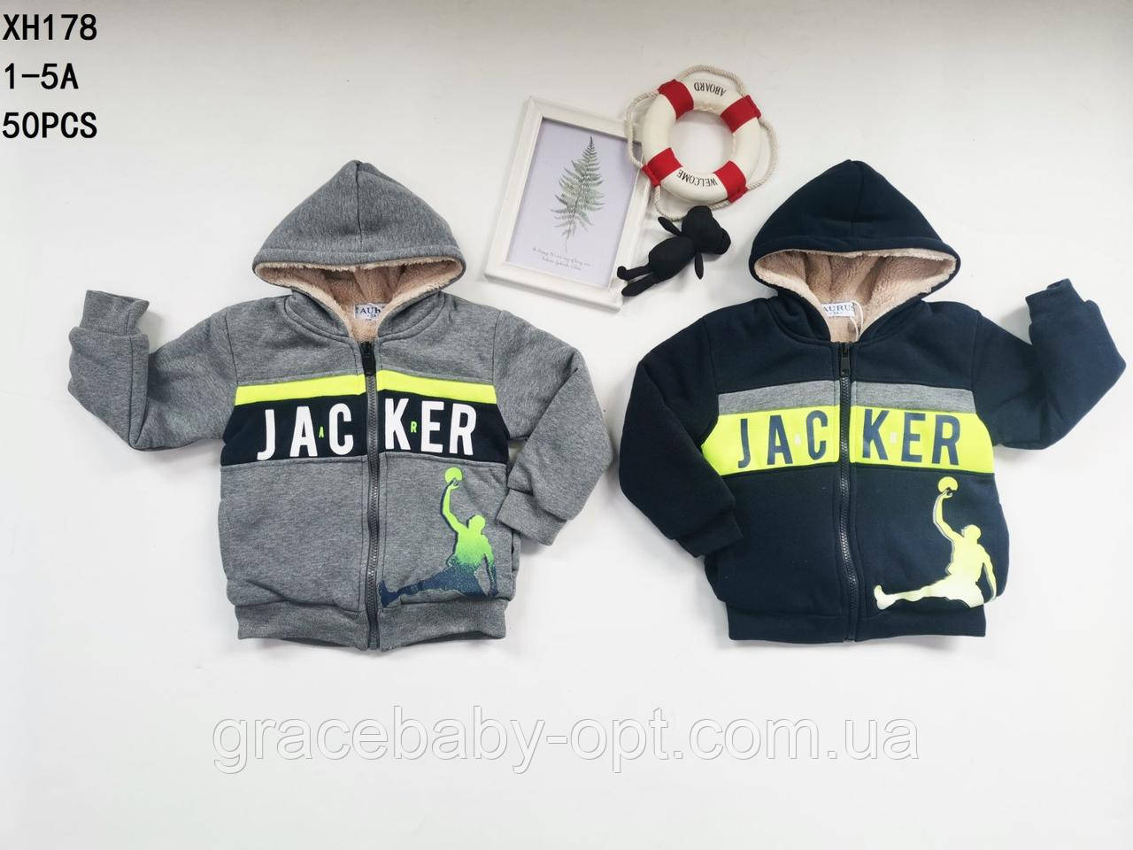 Пайта утеплена для хлопчика оптом, Taurus, 1-5 років, № XH-178, фото 1