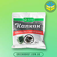 Тісто від щурів і мишей Капкан (200 г) Ukravit