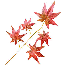 Гілка клен осінній 26 см