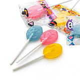 Японські льодяники Fujiya Halloween Pop Candy Bags зі смаком полуниці винограду та апельсина 17шт, фото 4