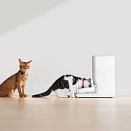 Смарт годівниця CATLINK Automatic Feeder Fresh 2 - Luxury, фото 5
