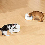 Смарт годівниця CATLINK RFID Pet Feeder - Standard, фото 8