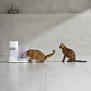Смарт годівниця Catlink Facelink Feeder, фото 6