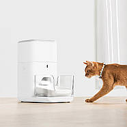 Набір міток CATLINK для Smart Feeder (2 нашийники для кішок і 2 теги UFO) UFO Tag set (2*collar+2*Tag), фото 4