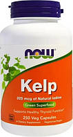 Бура водорість келп з йодом NOW Kelp 325 мкг 250 капс