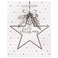 Новорічний подарунковий пакет "Новорічні дива-3" (18х23х10 см), паковання 12 шт.