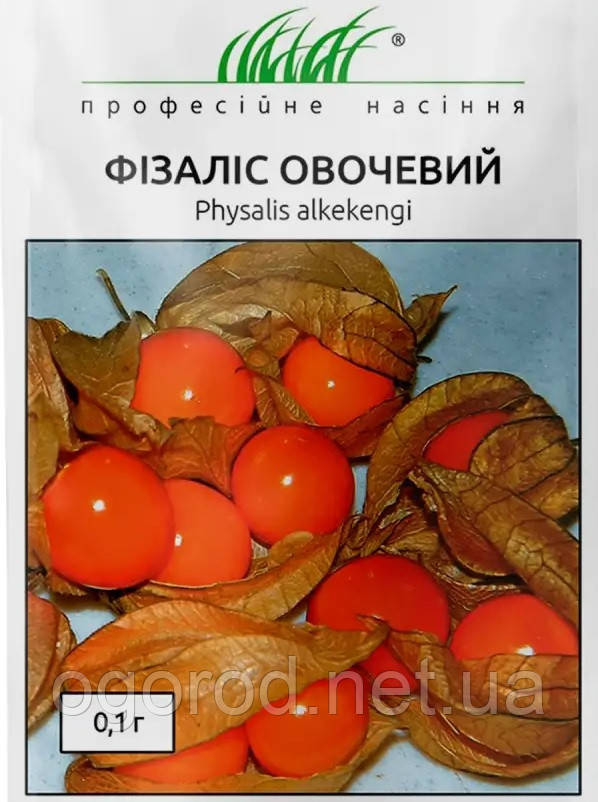 Фізаліс овочевий Hem Zaden Голландія 0,1 г
