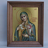 Ікона Пресвятої Богородиці Скорботна про немовлят, в утробі убієнних, фото 7