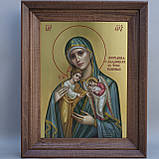 Ікона Пресвятої Богородиці Скорботна про немовлят, в утробі убієнних, фото 8