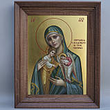 Ікона Пресвятої Богородиці Скорботна про немовлят, в утробі убієнних, фото 9