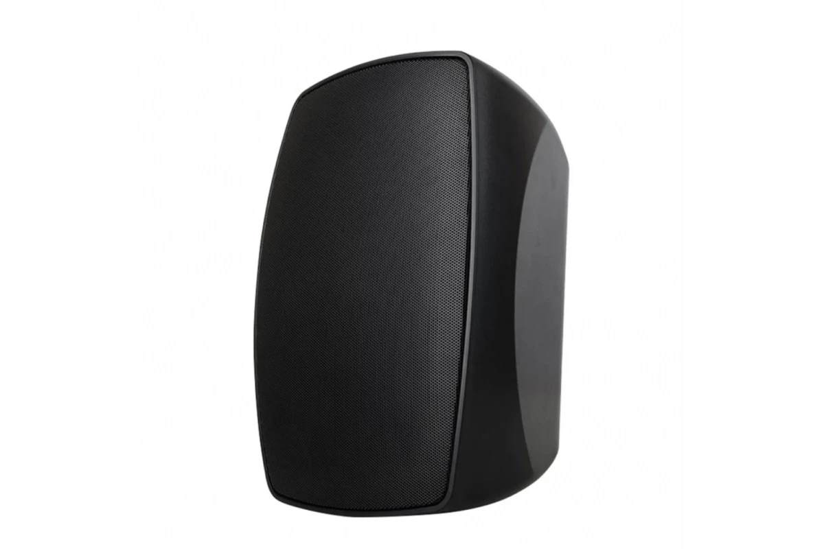 Акустична система DV audio WX-5.2T IP Black (Всепогодна)