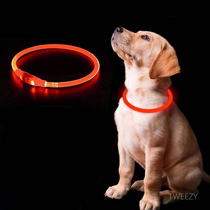 Ошейник Светящийся GLOW (200), фото 2