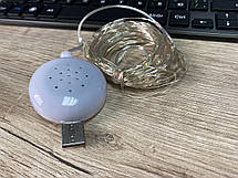 Гірлянда дріт музична USB теплий колір 10м, фото 6