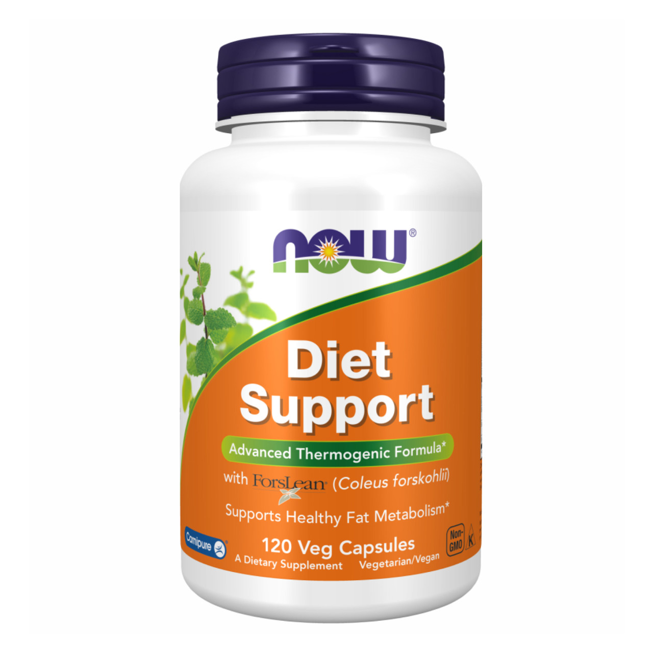 Diet Support - 120 vcaps, фото 1