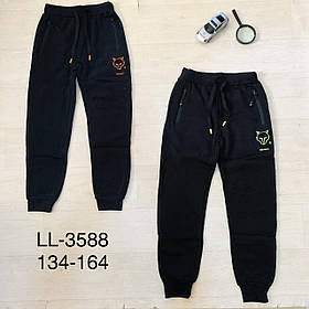 Спортивні штани утеплені  для хлопчиків оптом, Sincere, 134-164 рр., арт. LL-3588