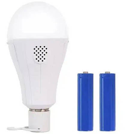 Аварійна світлодіодна LED-лампа з акумулятором E27 20 Вт, фото 1