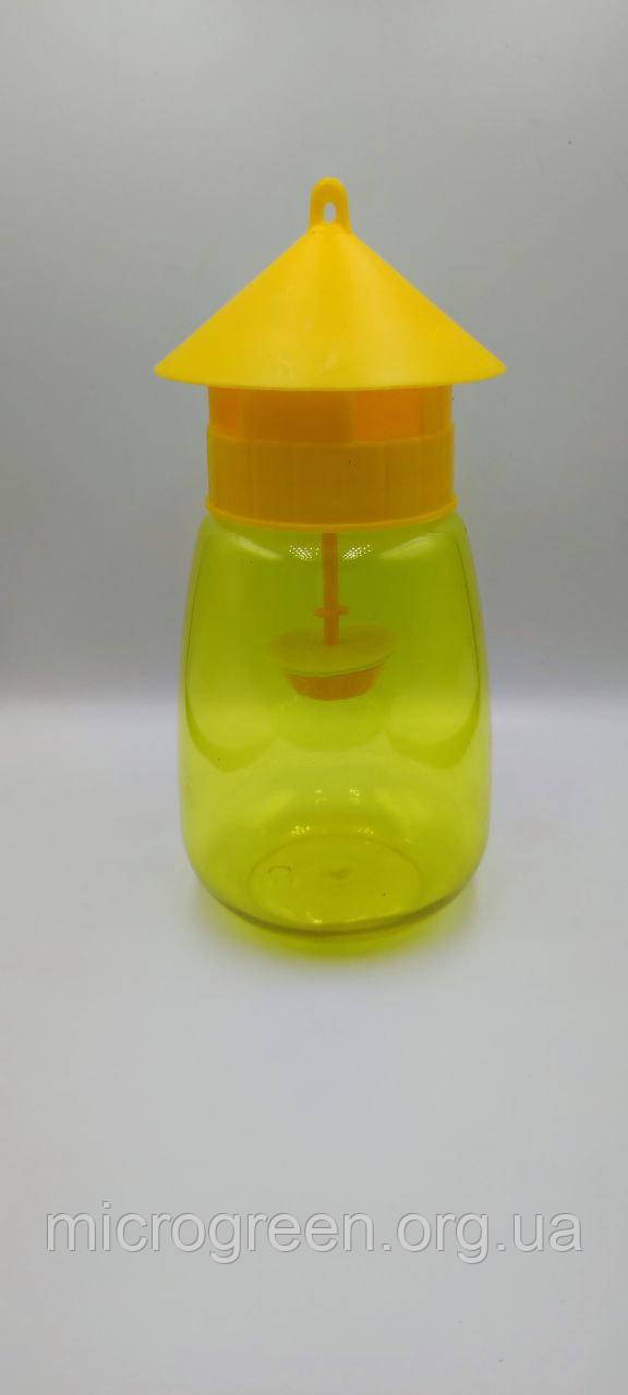 Пастка-колба жовта