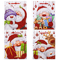 Новорічний подарунковий пакет "Подарунок від Санти" (18х23х10 см), 4 дизайни, в пакованні 12 шт.