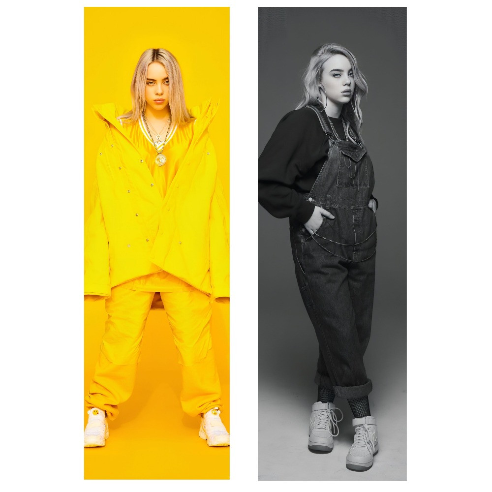 Дакімакура 150х50 см Билли Айлиш Billie Eilish Подушка для обіймів принт двостороння, фото 1