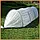 Парник 6м із спанбонда (120см ширина, 80см висота) (міні-теплиця). Щільність 40г/м2., фото 9