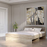 Ліжко двоспальне Еверест Асторія (без ящиків) 160х200 см сонома + трюфель (DTM-2083), фото 2
