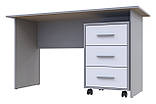 Офісний стіл Doros Т3 120х60х78 см Сірий/Білий (DRS-011321), фото 2