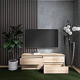 Тумба під телевізор Еверест ЛТВ-1400 Лайт 140х38х49 см Дуб сонома (DTM-4671), фото 4