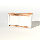 Тумба ТВ Нордік 980 Еверест Білий, Дуб крафт золотий (98х38х53 см), фото 5