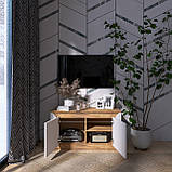 Тумба ТВ Нордік 980 Еверест Білий, Дуб крафт золотий (98х38х53 см), фото 2