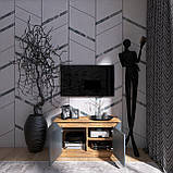 Тумба ТВ Нордік 980 Еверест Графіт, Дуб крафт золотий (98х38х53 см), фото 4