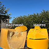 Бджолиний віск забрусний 500 грам, фото 5