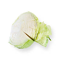 Насіння капусти Анкома F1 (Ancoma F1), 2500 шт.,білокачанної пізньої