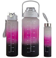 Набір пляшок для води 9045 300-900-2000 мл, 3 шт., сіро-рожевий
