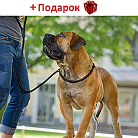 Поводок удавка для дрессировки собак ошейник контролер 3 метра