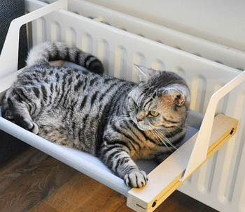 Гамак для кішки