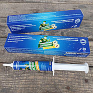 Гель-шприц від тарганів і мурах Захисник 20 мл, фото 2