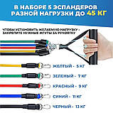 Спортивні гумки еспандер exercise, Стрічка еспандер для турніка, Еспандери для фітнесу вправи ZJ-51, фото 7