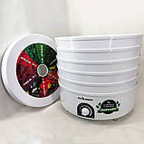 Хороша сушарка для овочів фруктів якісний, Сушіння для риби грибів, Дегідратор 5 піддонів OY-66, фото 2