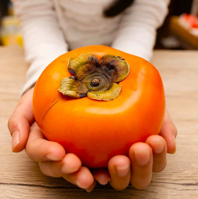 Саджанці хурми Дар Софіївки (дворічна)(контейнер) - рання, морозостійка, самоплідна, фото 1