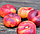 Саджанці інжирного нектарину Концеттіна (Концеттина, Concettina, Nectarine Concettina), фото 3